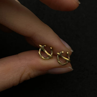 Auskarai "Baltiškosios sagytės"