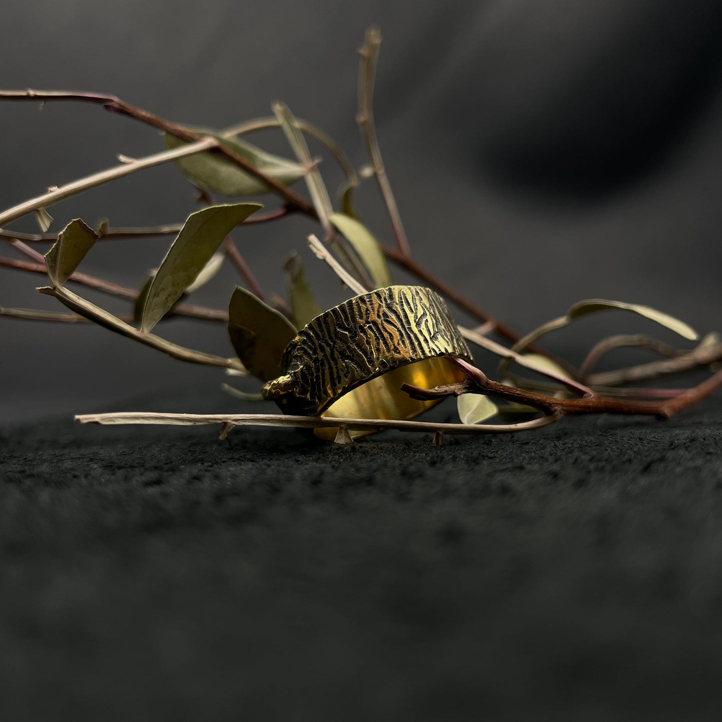 Ring "Protection of the Forest"