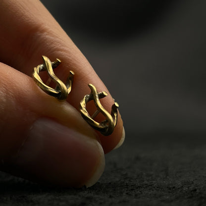 Auskarai "Baltiškosios sagytės"