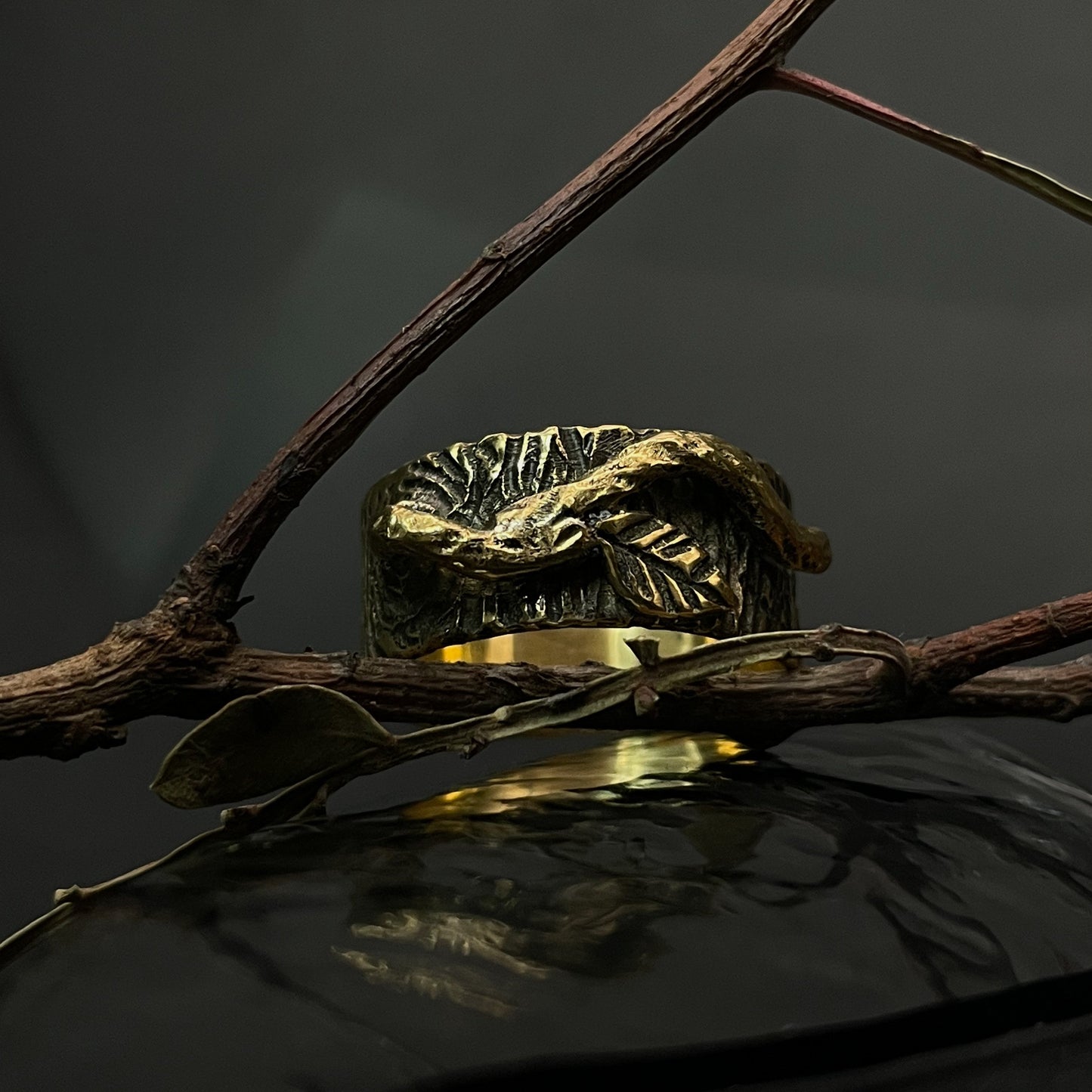 Ring "Protection of the Forest"