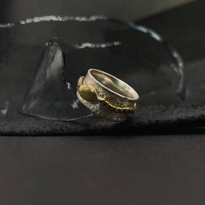 Ring "Embrace"