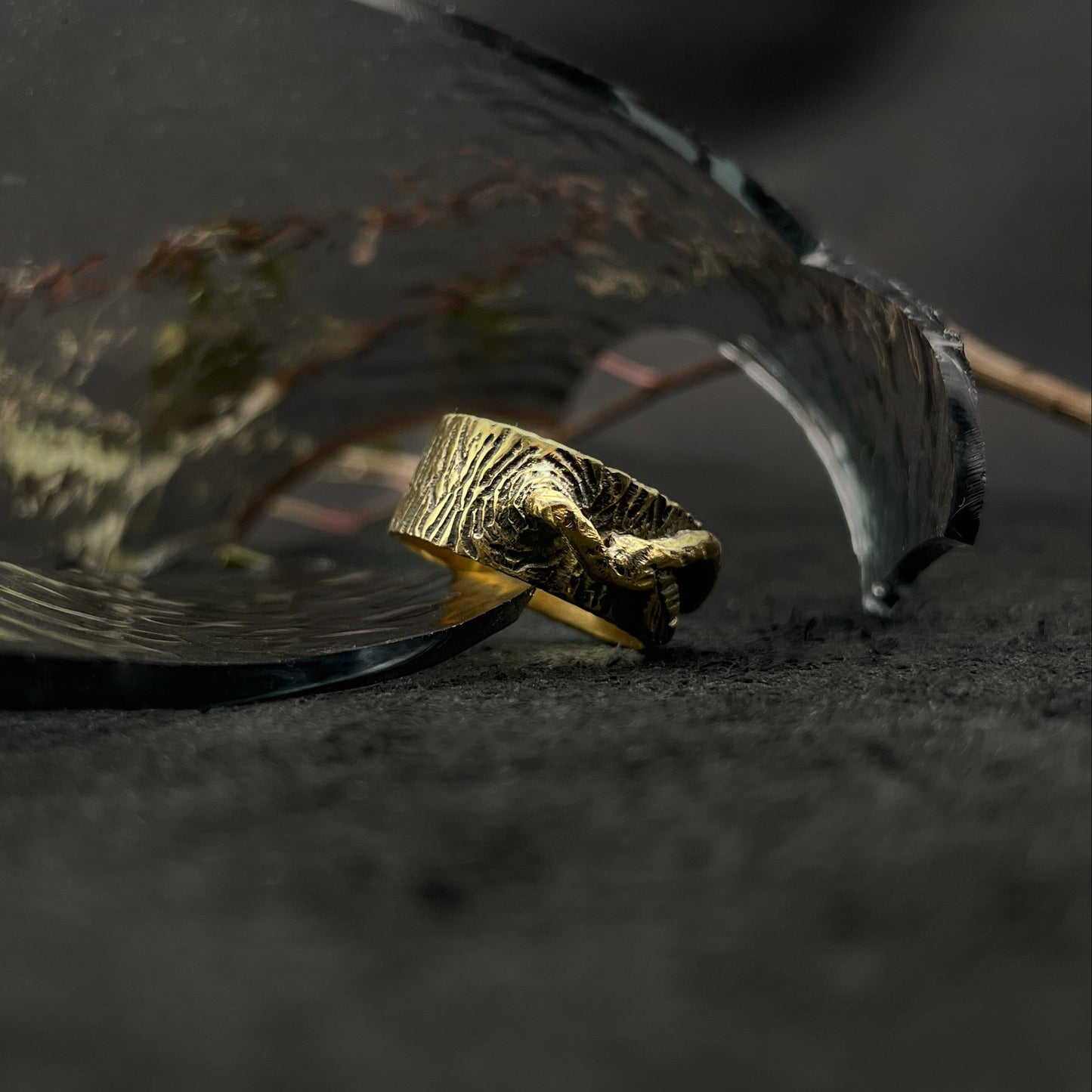 Ring "Protection of the Forest"